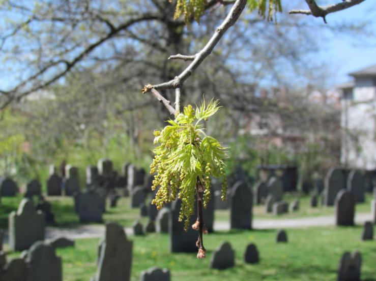 464647_10151000519278574_1106686693_o